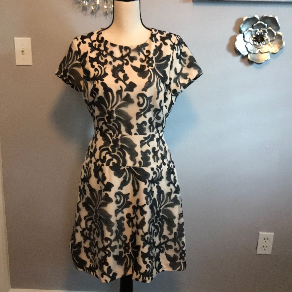 Black and cream colored dress NWT